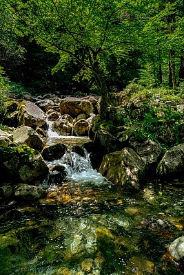Rivière l'Ars