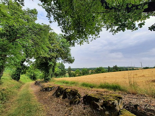 chemin de la Combe Moulède