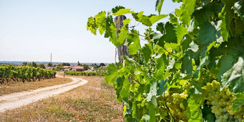 chemin de St Simeux
