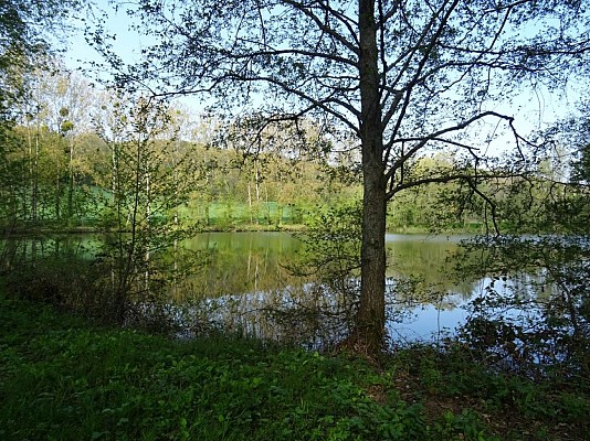 plateau de la Croisette
