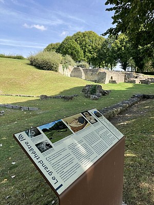 IMG_1140
