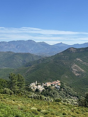 Noceta