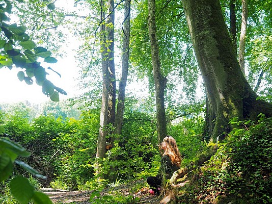 Sentier des Mélèzes de Durmenach