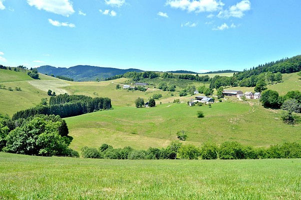 Circuit rando - le tour de Faurupt et le château du Bonhomme
