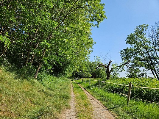 Circuit du Gauxberg variante anneau jaune