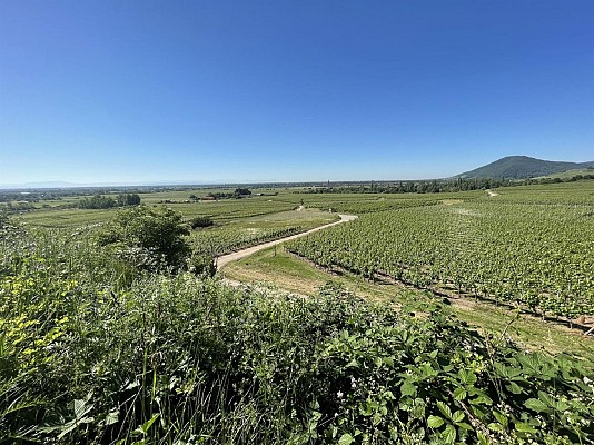 Sentier des Roches à Dieffenthal