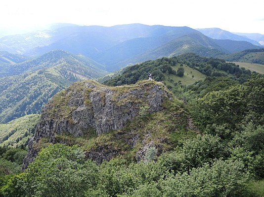 Forêt des Volcans