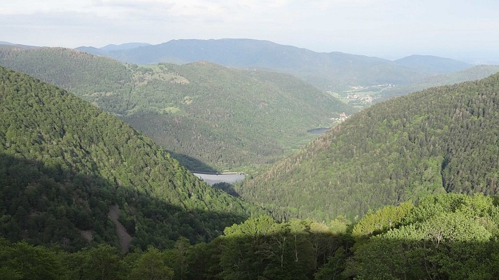 Circuit trail Alfeld - Boedelen - Chaumière