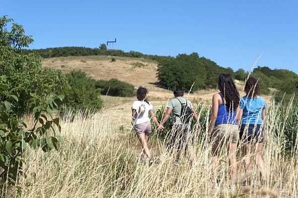 Sentier : autour du Kochersberg