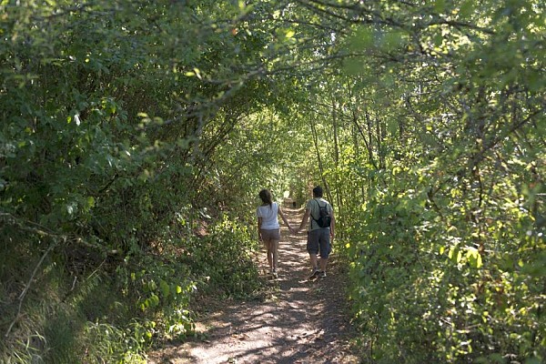 Sentier : autour du Kochersberg