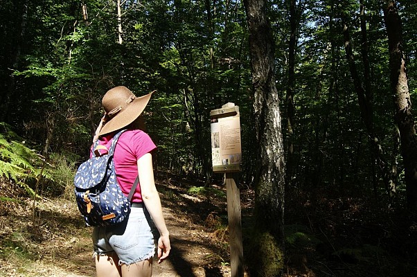 Sentier poétique du Seelberg