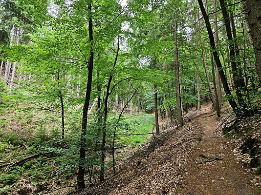 Sentier poétique du Seelberg