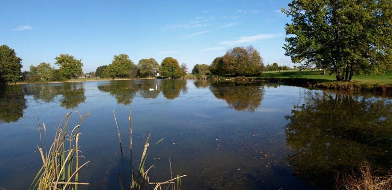 Etang de Friesen