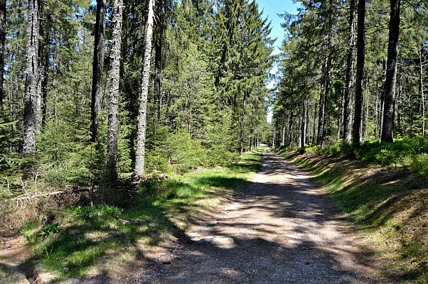 Circuit rando - Massif de la Tête des Faux