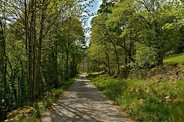 Circuit rando - Orbey, le creux d'argent