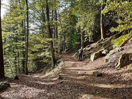 Sur le parcours de randonnée