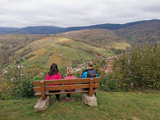 Chemin du Patrimoine ''Vignoble de montagne''