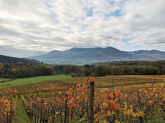 Chemin du Patrimoine ''Vignoble de montagne''