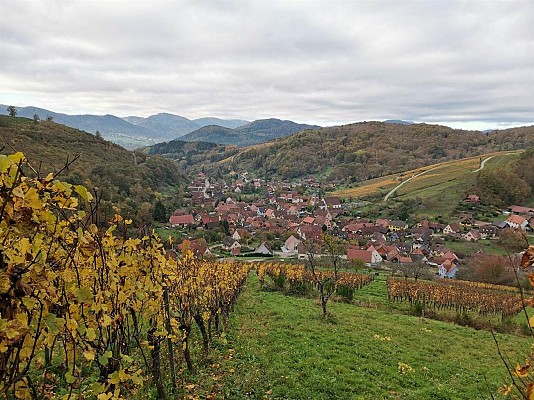 Chemin du Patrimoine ''Vignoble de montagne''