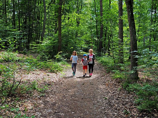 Sentier des Mélèzes de Durmenach