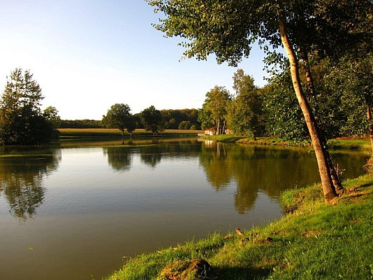 Etang du Stoffelsweiher