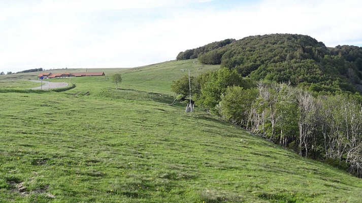 Circuit trail Chaumière - Ballon d'Alsace