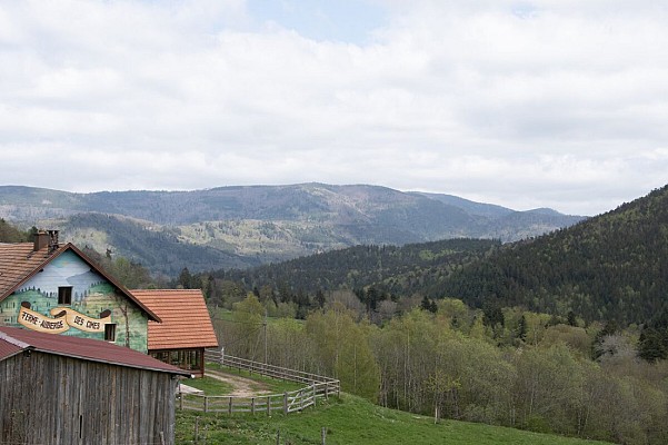 Randonnée - Des cimes vers une vue à 360°