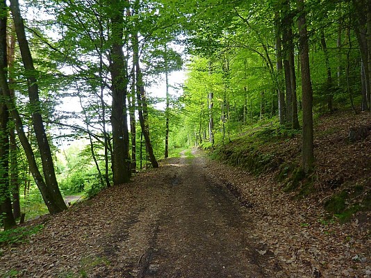 Circuit poussette - Petit tour du Faudé