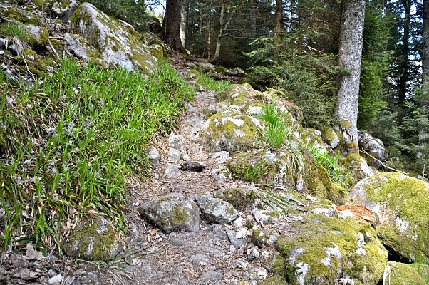 Circuit rando - l'ascension au lac Blanc par une ferme-auberge
