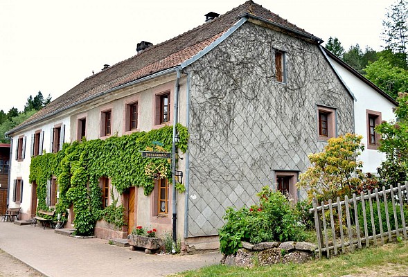 Circuit rando - rejoindre l'auberge Saint-Alexis depuis Kaysersberg