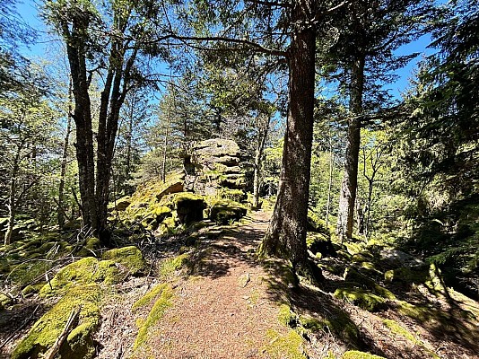 Circuit rando - le Koenigsstuhl et la roche du Tétras par Saint-Alexis