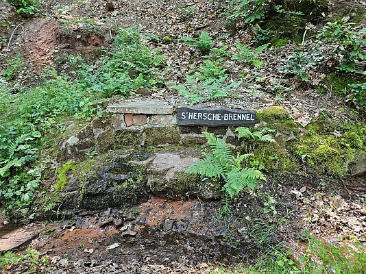 Source