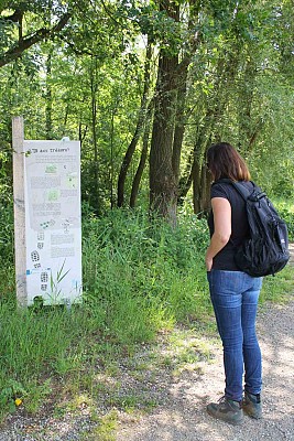 Sentier L'Ill aux trésors