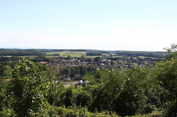 Marche santé : Sentheim - Sentier de la Doller
