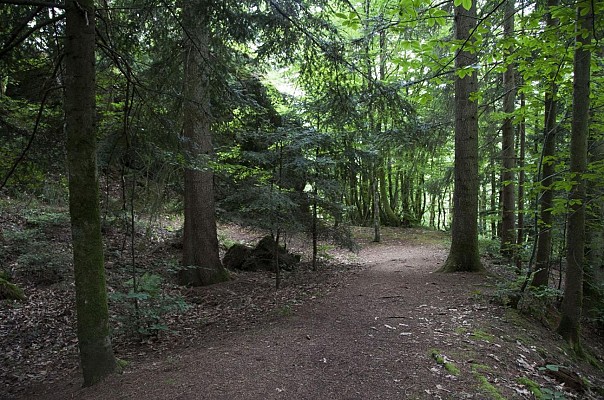 Randonnée - Le Bilstein