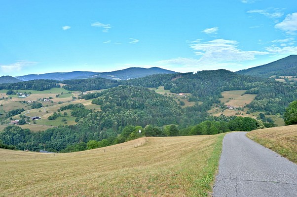 Circuit rando - sur les hauteurs de Fréland