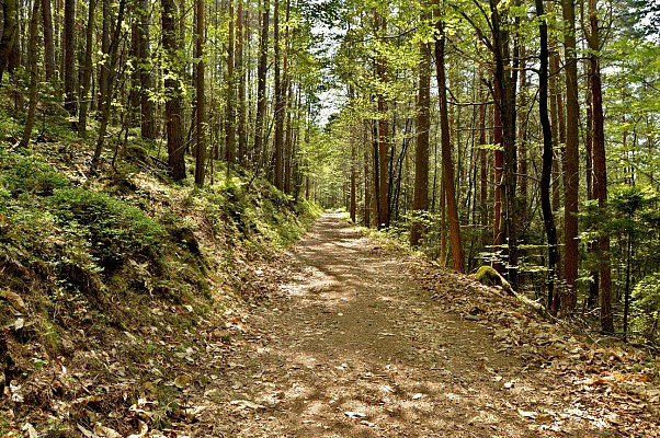 Circuit rando - la tour du Faudé