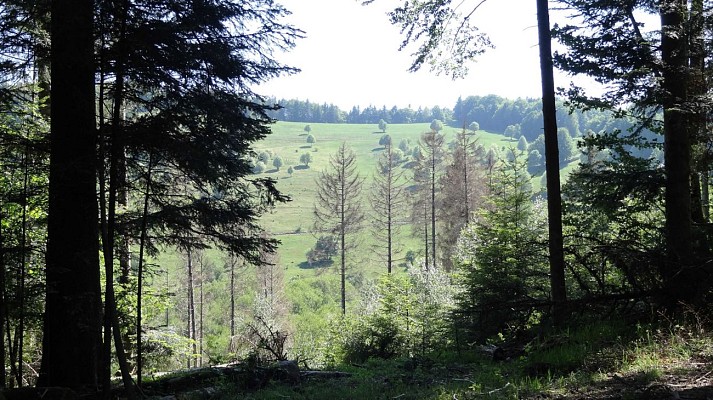Circuit Trail Challenge des lacs