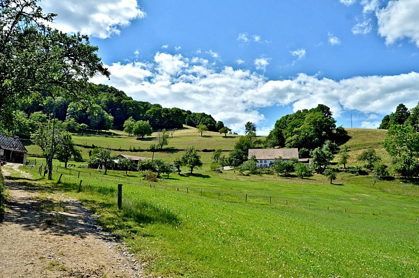 Circuit rando - l'étang du Devin depuis Lapoutroie