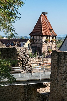 Circuit de visite à travers le quartier des remparts de Châtenois