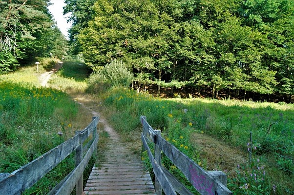 Le sentier des verriers