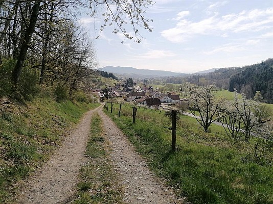 Chemin du Patrimoine "Le verre est dans le fruit"