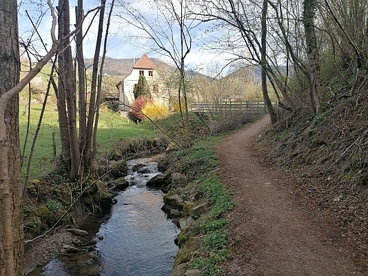Chemin du Patrimoine "Le verre est dans le fruit"