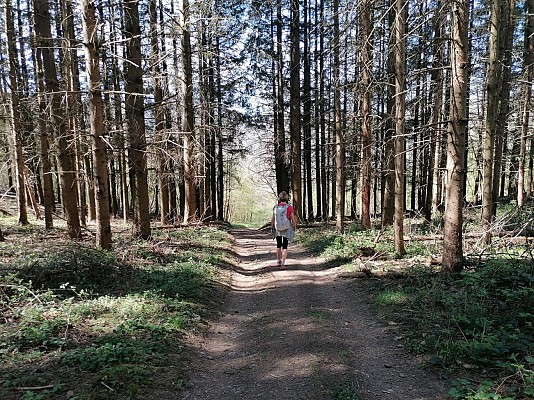 Chemin du Patrimoine "Le verre est dans le fruit"