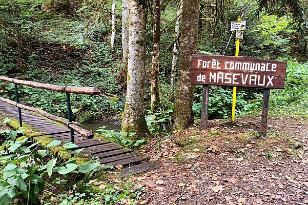Chemin d'accès