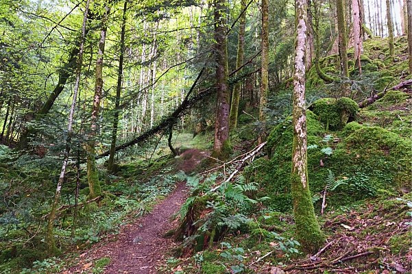 Chemin d'accès