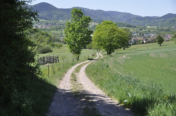 Randonnée - La Schrann