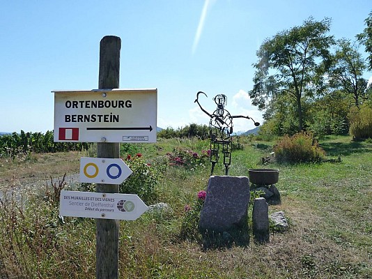 Sentier des Murailles et des Vignes - Dieffenthal