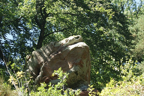 Circuit du Froschkopf