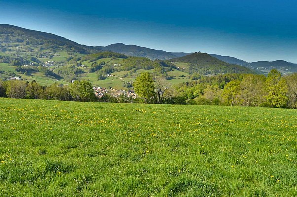 Circuit rando - des pierres tremblantes aux sources d'Orbey